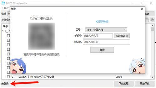 b站视频下载工具,一键下载，畅享海量视频内容