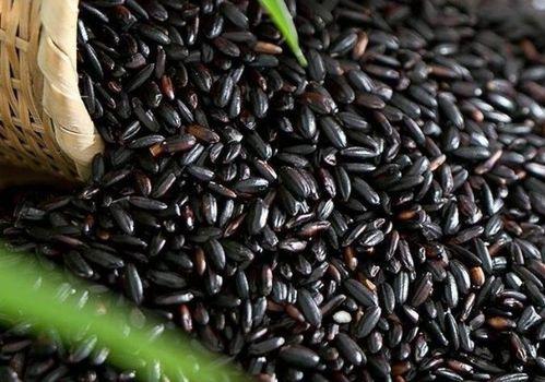 黑米瓜怎样吃最好,解锁最佳口感与营养