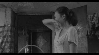 感人的视频,那些触动心灵的感人瞬间