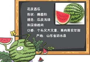 今日吃瓜历史记录图片最新,揭秘历史记录中的那些“瓜”